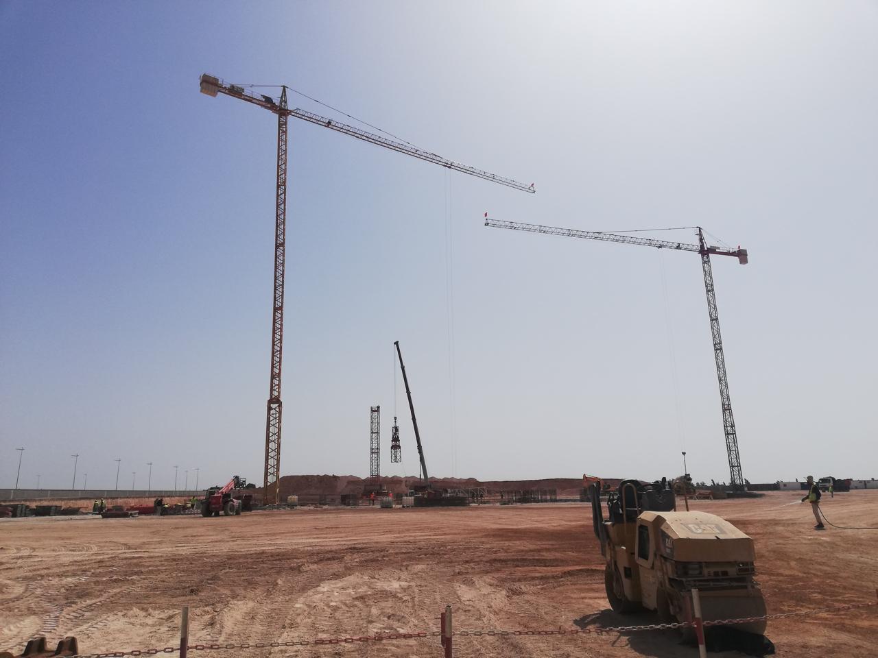 Grues à Tour